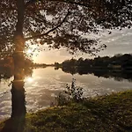 L'anguillle