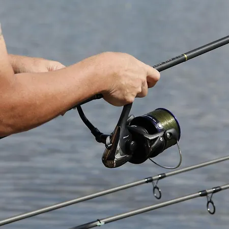 L'anguillle Holiday home