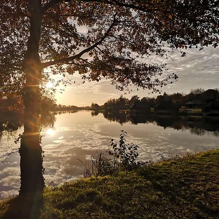 L'anguillle
